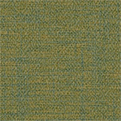Mingle Algae